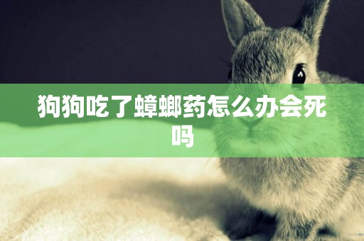 狗狗吃了蟑螂藥怎么辦會死嗎