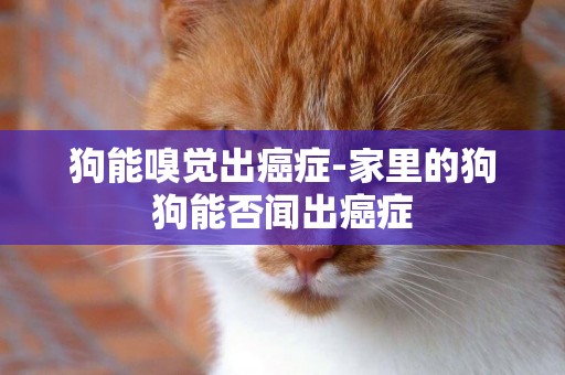 狗能嗅覺出癌癥-家里的狗狗能否聞出癌癥