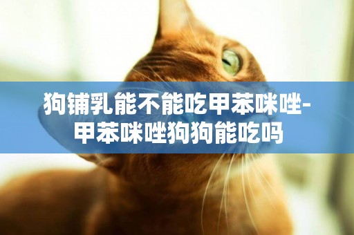 狗鋪乳能不能吃甲苯咪唑-甲苯咪唑狗狗能吃嗎