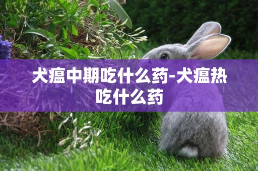 犬瘟中期吃什么藥-犬瘟熱吃什么藥