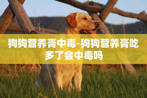 狗狗營養膏中毒-狗狗營養膏吃多了會中毒嗎