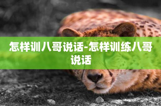 怎樣訓八哥說話-怎樣訓練八哥說話