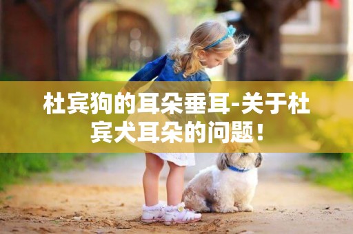 杜賓狗的耳朵垂耳-關于杜賓犬耳朵的問題！