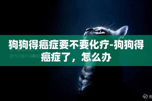 狗狗得癌癥要不要化療-狗狗得癌癥了，怎么辦