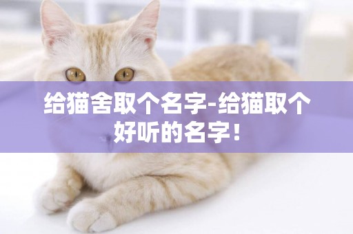 給貓舍取個名字-給貓取個好聽的名字！