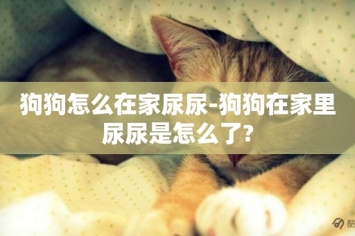 狗狗怎么在家尿尿-狗狗在家里尿尿是怎么了?