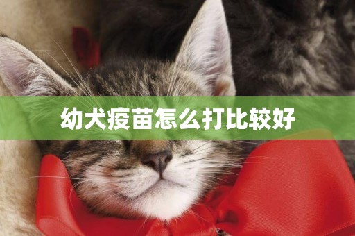 幼犬疫苗怎么打比較好