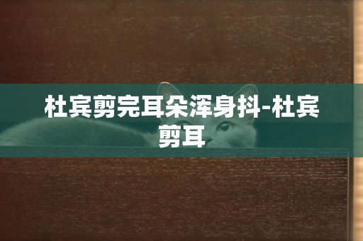 杜賓剪完耳朵渾身抖-杜賓剪耳