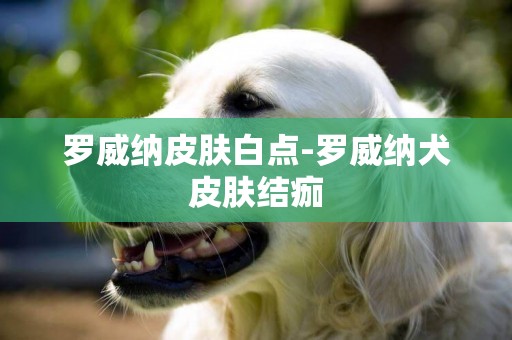 羅威納皮膚白點-羅威納犬皮膚結痂