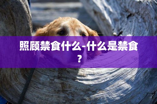 照顧禁食什么-什么是禁食？