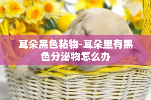 耳朵黑色粘物-耳朵里有黑色分泌物怎么辦