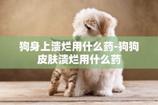 狗身上潰爛用什么藥-狗狗皮膚潰爛用什么藥