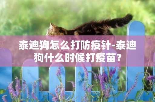 泰迪狗怎么打防疫針-泰迪狗什么時候打疫苗？