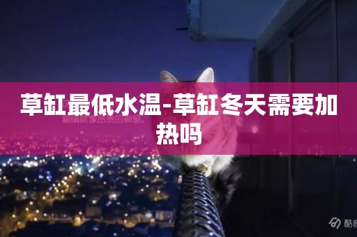 草缸最低水溫-草缸冬天需要加熱嗎
