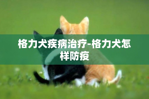 格力犬疾病治療-格力犬怎樣防疫