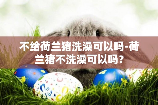 不給荷蘭豬洗澡可以嗎-荷蘭豬不洗澡可以嗎？