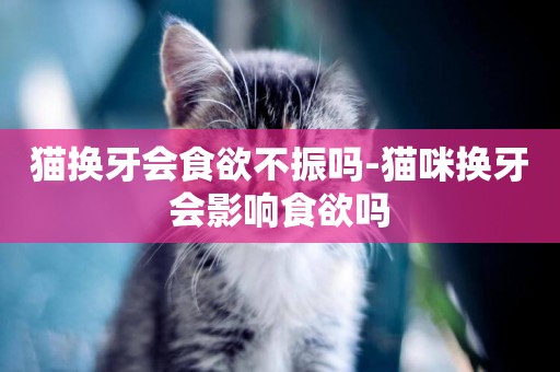 貓換牙會食欲不振嗎-貓咪換牙會影響食欲嗎