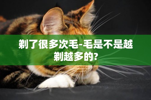 剃了很多次毛-毛是不是越剃越多的?