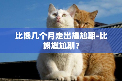 比熊幾個月走出尷尬期-比熊尷尬期？