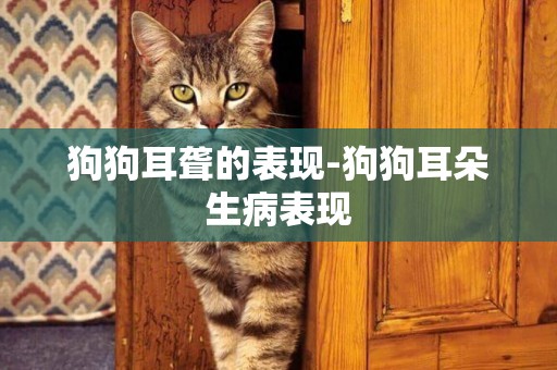 狗狗耳聾的表現-狗狗耳朵生病表現