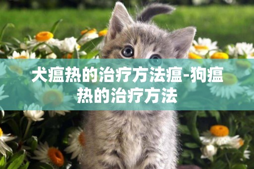 犬瘟熱的治療方法瘟-狗瘟熱的治療方法