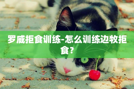 羅威拒食訓練-怎么訓練邊牧拒食？