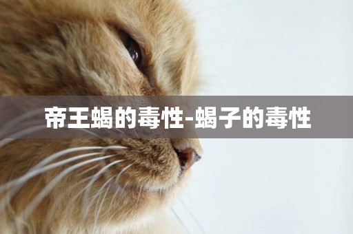 帝王蝎的毒性-蝎子的毒性