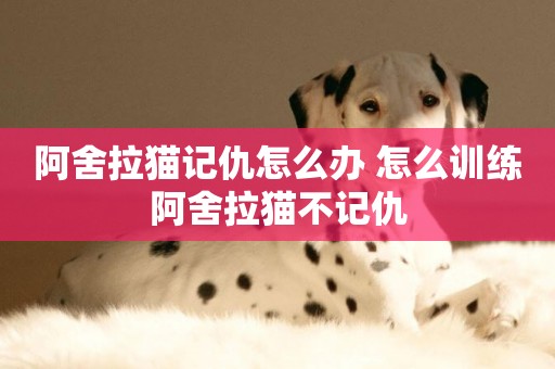 阿舍拉貓記仇怎么辦 怎么訓練阿舍拉貓不記仇