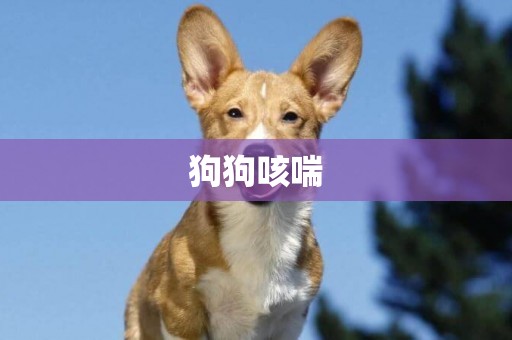 狗狗咳喘