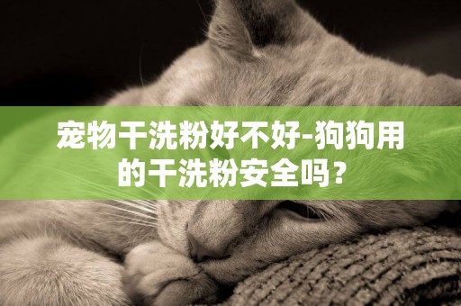 寵物干洗粉好不好-狗狗用的干洗粉安全嗎？