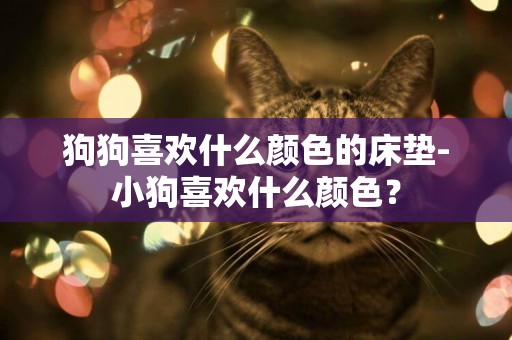 狗狗喜歡什么顏色的床墊-小狗喜歡什么顏色？