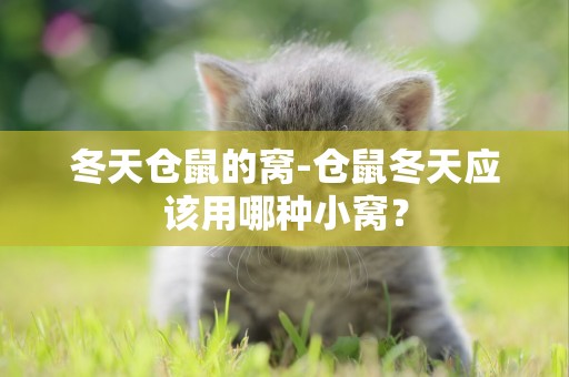 冬天倉鼠的窩-倉鼠冬天應該用哪種小窩？