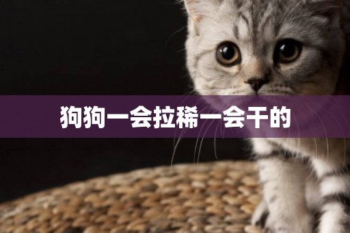 狗狗一會拉稀一會干的