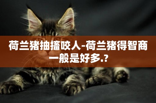 荷蘭豬抽搐咬人-荷蘭豬得智商一般是好多.?