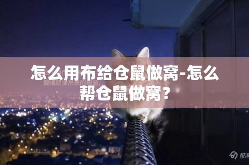 怎么用布給倉鼠做窩-怎么幫倉鼠做窩？