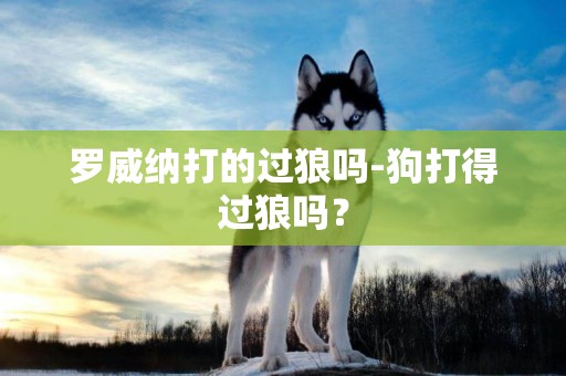 羅威納打的過狼嗎-狗打得過狼嗎？
