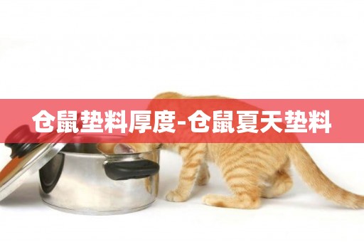 倉鼠墊料厚度-倉鼠夏天墊料