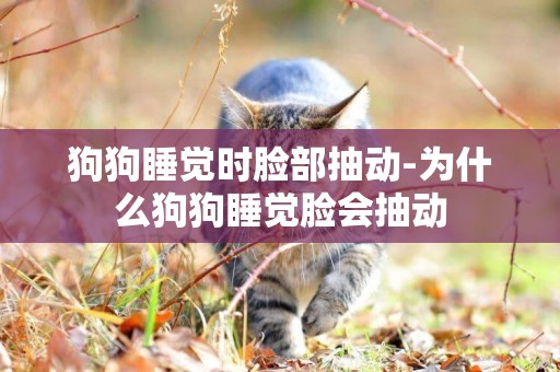 狗狗睡覺時臉部抽動-為什么狗狗睡覺臉會抽動
