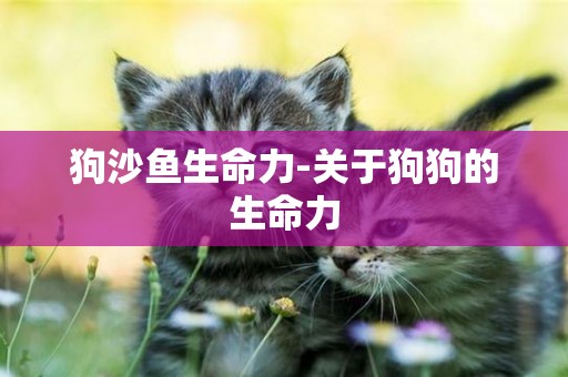 狗沙魚生命力-關于狗狗的生命力