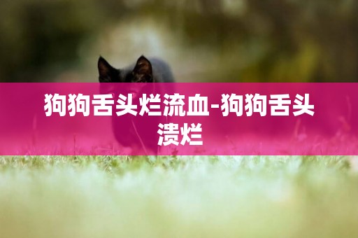 狗狗舌頭爛流血-狗狗舌頭潰爛