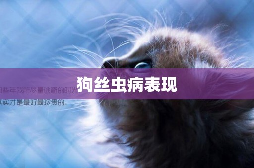 狗絲蟲病表現