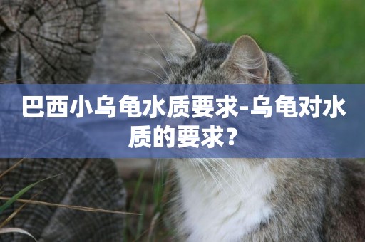 巴西小烏龜水質要求-烏龜對水質的要求？