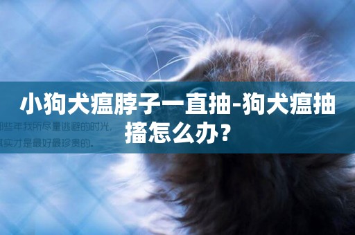 小狗犬瘟脖子一直抽-狗犬瘟抽搐怎么辦？