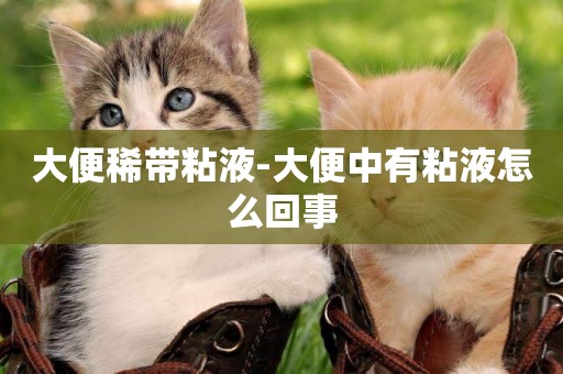 大便稀帶粘液-大便中有粘液怎么回事