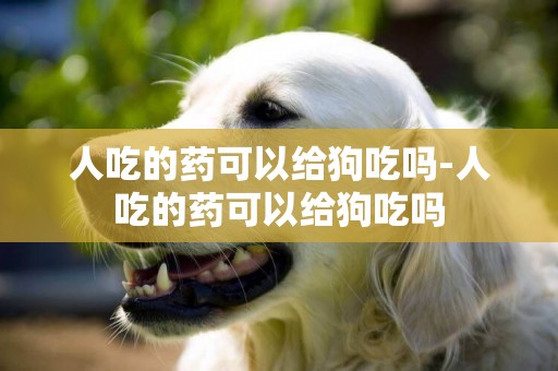 人吃的藥可以給狗吃嗎-人吃的藥可以給狗吃嗎