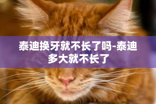 泰迪換牙就不長了嗎-泰迪多大就不長了