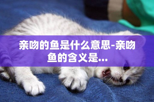 親吻的魚是什么意思-親吻魚的含義是...