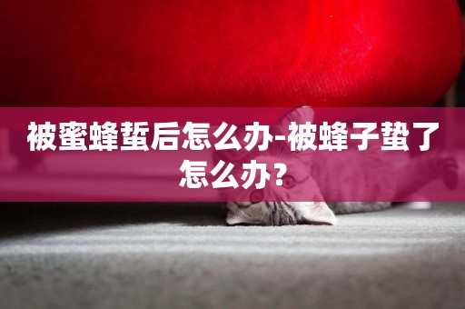 被蜜蜂蜇后怎么辦-被蜂子蟄了怎么辦？