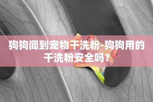 狗狗聞到寵物干洗粉-狗狗用的干洗粉安全嗎？