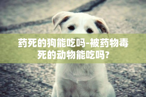 藥死的狗能吃嗎-被藥物毒死的動物能吃嗎?